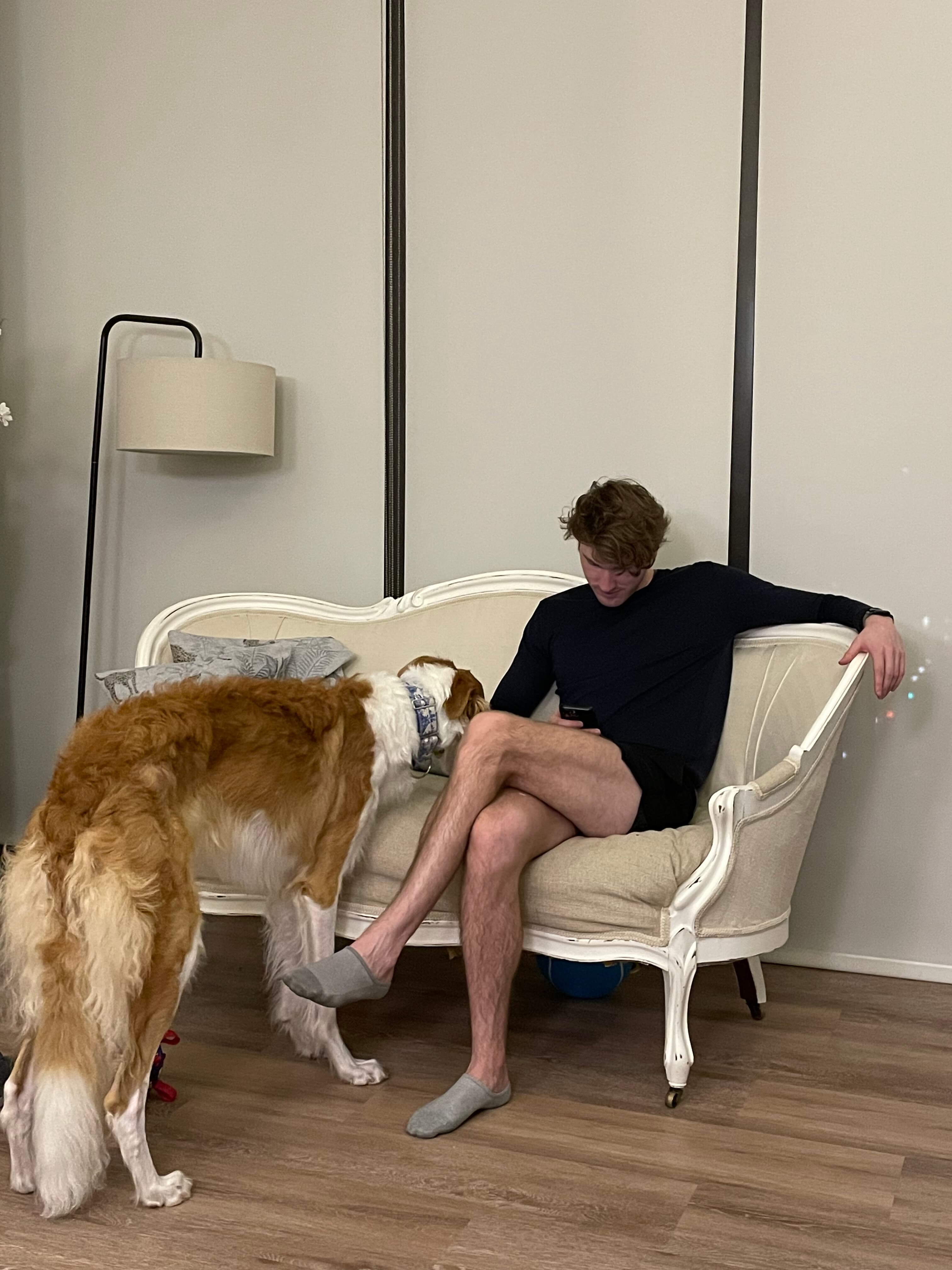 IMG 3873