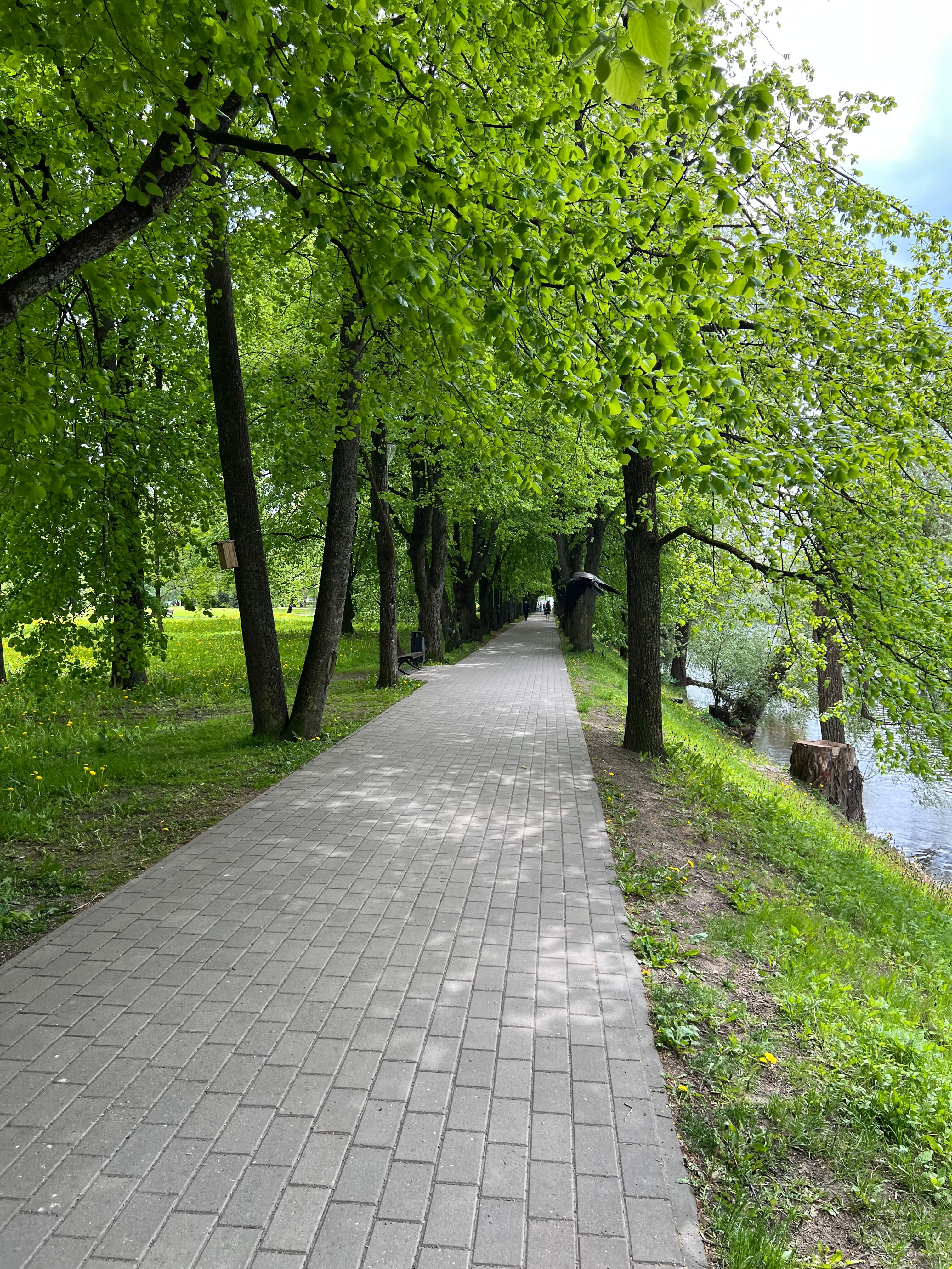 IMG 7890